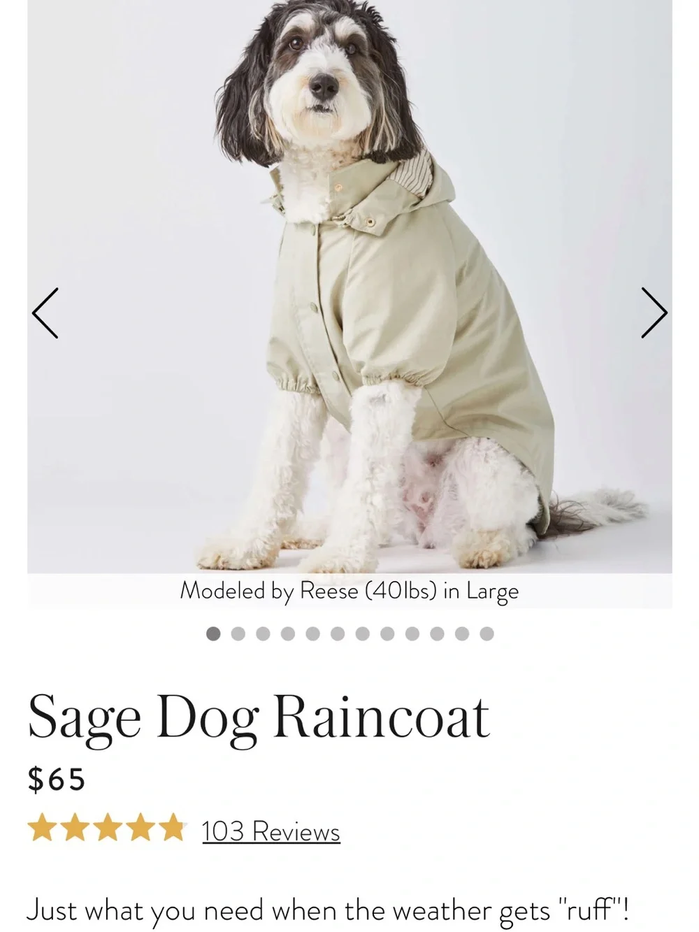 The Foggy Dog Olive Green Dog Bed Cover